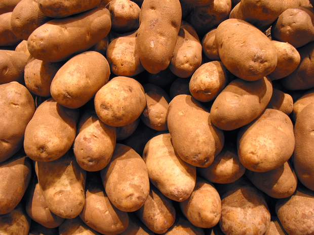 potato photo l