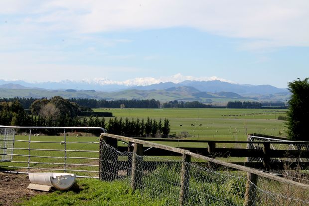 a view